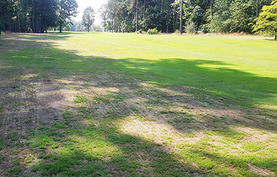 Droogteschade op de fairways